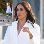 Fans Think Meghan Markle Staged Cute Duckling Video!