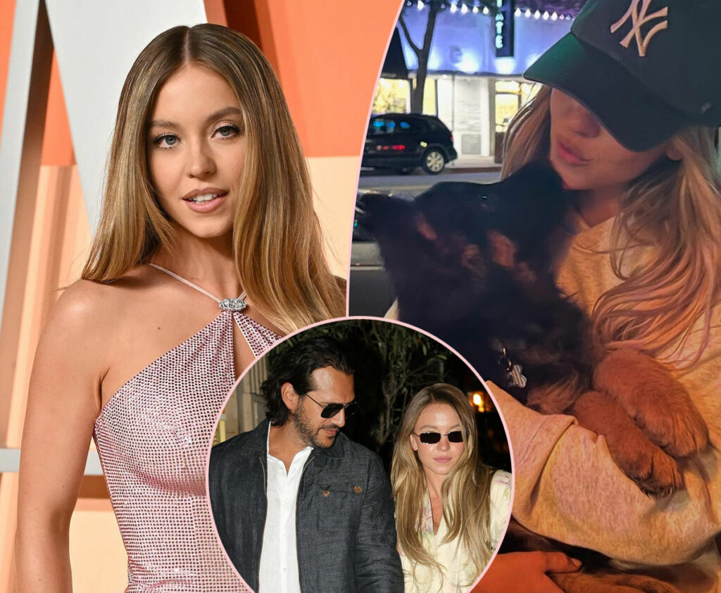 Sydney Sweeney Got A New Puppy After Breaking Off Engagement To Jonathan Davino