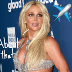 Britney Spears Apologizes For Smoking On Plane -- But Claims Flight Attendant Got Her In Trouble To ‘Embarrass’ Her!