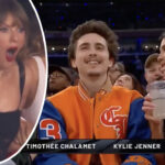 Taylor Swift Fans Call Out Double Standard -- Timothée Chalamet Isn't Ruining The NBA?!