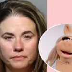 Adult Woman Beats Up Child On Flight -- After He Called Her Miss Piggy!