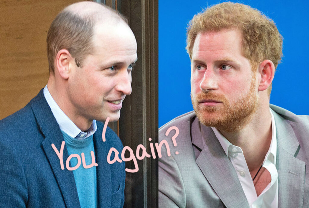 Prince William's Chilling Reaction To Estranged Brother Harry's Explosive Interview