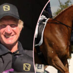 Olympian Suspended For Abusing A Horse -- On Video!