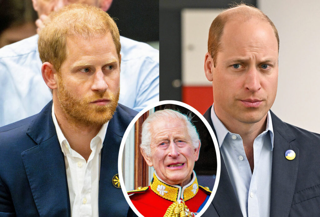 Prince Harry Will Likely Only Reunite With Prince William At Their Father Charles’ Funeral Amid Rift