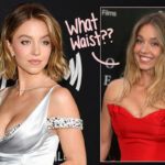 Sydney Sweeney Reveals TINY Waist Size -- And Said Her 'Boobs Got Bigger' Due To Training For Movie!