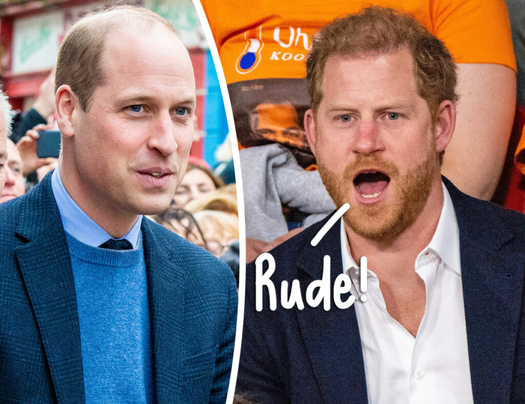 Prince William Takes Swipe At Prince Harry While Stepping Into Role Once Meant For Him!