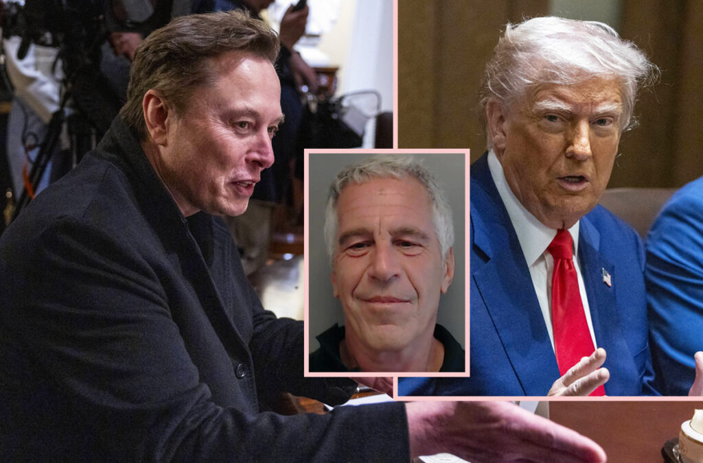 Elon Musk Reacts Donald Trump FBI Claim No Jeffrey Epstein Client List