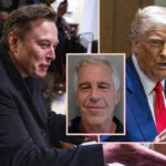 Elon Musk LOSES IT As Trump's FBI Claims They Have Zero Epstein Client Info -- And He's Right!!