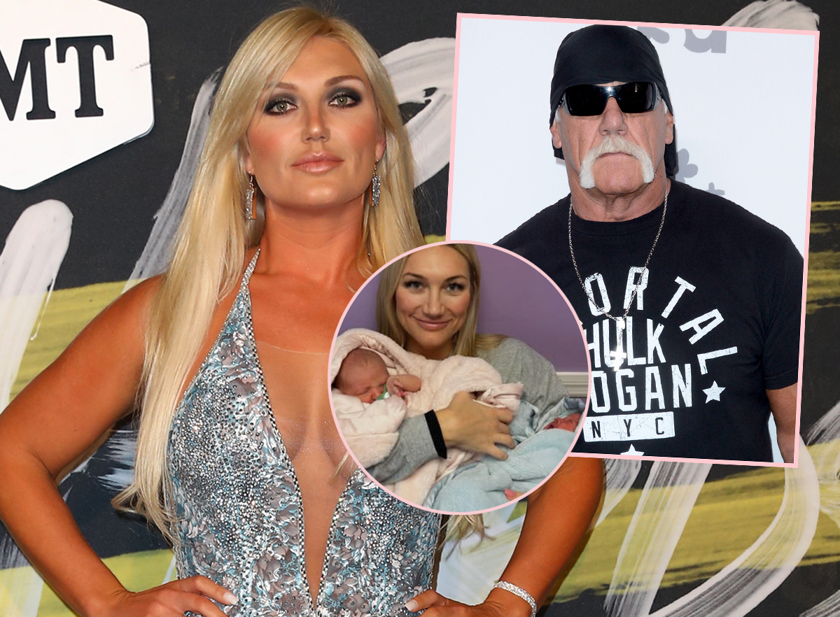 How Brooke Hogan Honored Her Estranged Dad Hulk Through Her Twins