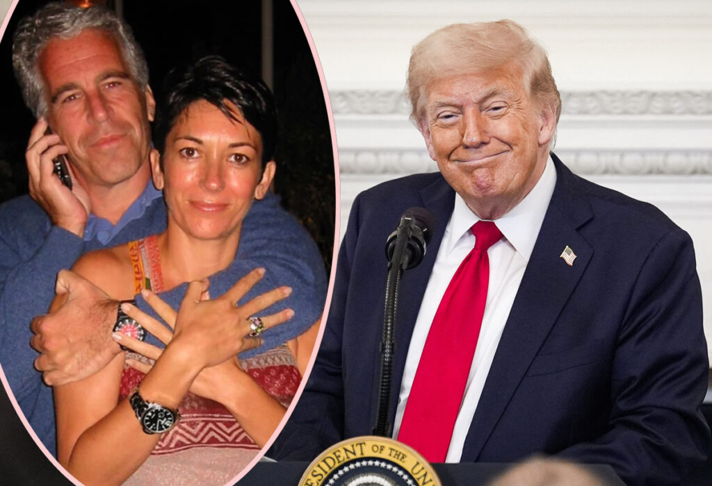 Republican Donald Trump Supporters Block Release Epstein Files House