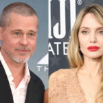 Not Over Yet! Brad Pitt Wants ALL Angelina Jolie’s Private Messages Relating To Her Winery Sale!