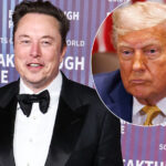 Elon Musk Says THIS Trump Pal Is In The Epstein Files! It's Happening!