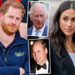 Prince Harry Distancing Himself From Meghan Markle To Reconcile With Royals, Pals Claim!