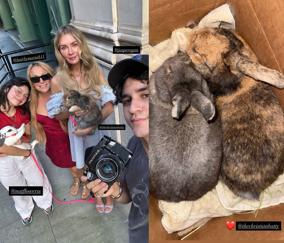 Anna Delvey Accused Of Abandoning Bunnies In NYC After Using Them In Photoshoot -- But She Responds!