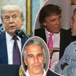 Watch Jeffrey Epstein Get Asked About Donald Trump & Underage Girls In 2010 Deposition -- His Answer Says EVERYTHING!