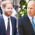 Why Prince Harry & Prince William's Feud Is 'Impossible' To Fix!