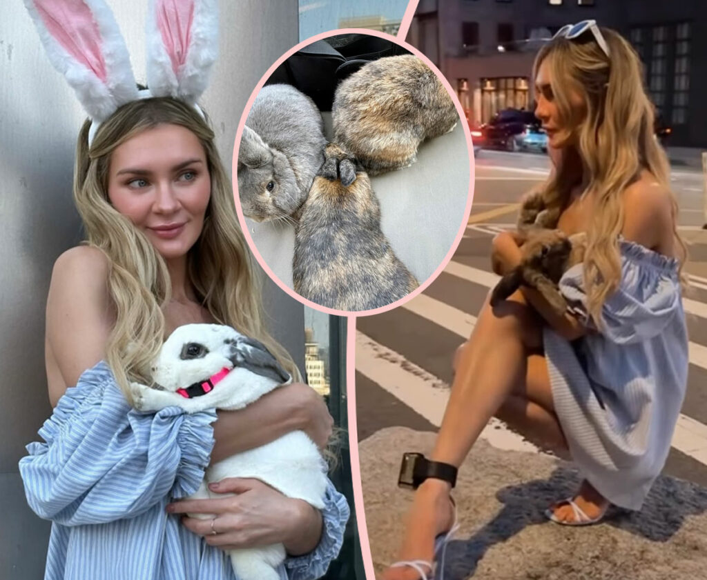 Anna Delvey Accused Of Abandoning Bunnies In NYC After Using Them In Photoshoot -- But She Responds!