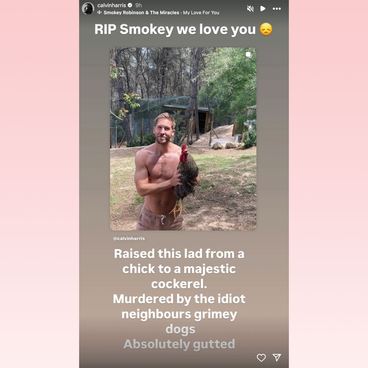 Calvin Harris' rooster was killed by dog