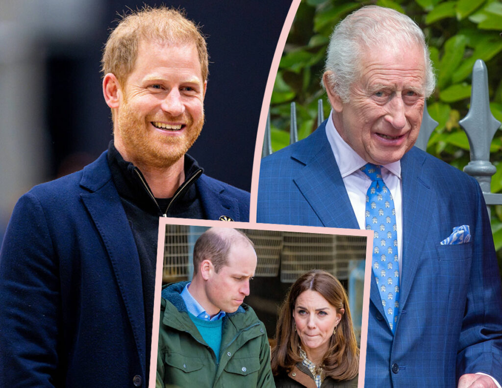 Wow! Prince Harry FINALLY Set To Reunite With King Charles!