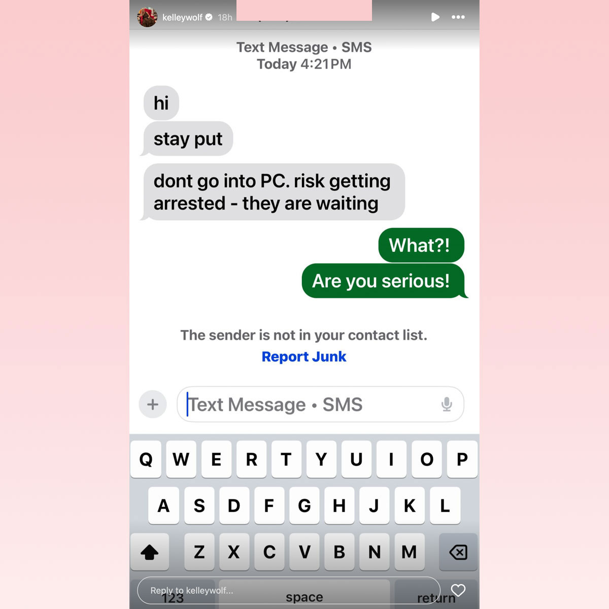 Kelly Wolf goes on social media tangent amid arrest