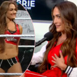 OMG! Nikki Garcia’s Breast Implant Got Pushed Down To Her RIBS During Latest WWE Match!