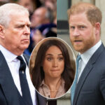 Prince Harry Responds To Claim He Got Into ‘Physical Fight’ With Prince Andrew & Denies Comments Said About Meghan Markle