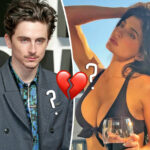 Did Timothée Chalamet & Kylie Jenner Split?! He Snubs Her Birthday After She Posts Two Breakup Songs!