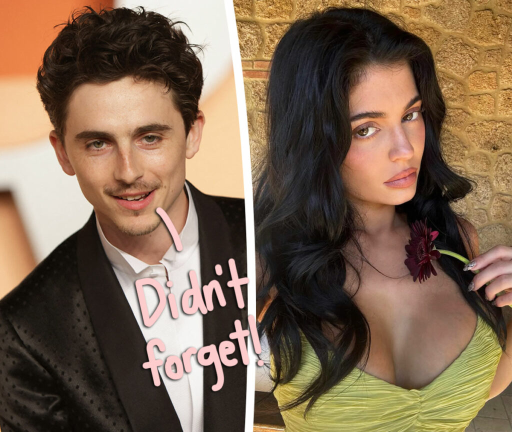 Turns Out Timothee Chalamet DID Do Something For Kylie Jenner's Birthday Despite Long Distance!