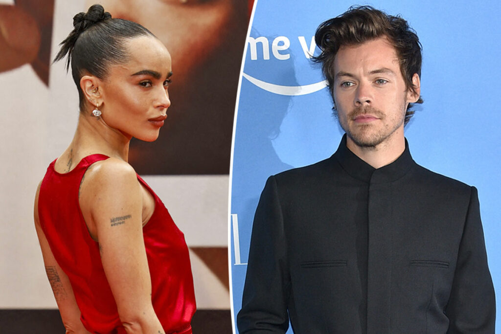Zoë Kravitz & Harry Styles Spotted ‘Making Out’ While ‘Spending Time’ Together Amid Budding Romance!