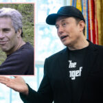 Elon Musk Denies Going To Epstein's Island In 2014: 'I REFUSED'