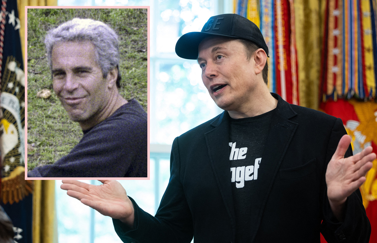 Elon Musk Denies Going To Epstein's Island In 2014: 'I REFUSED'