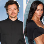 The Status Of Harry Styles & Zoë Kravitz's Relationship REVEALED!