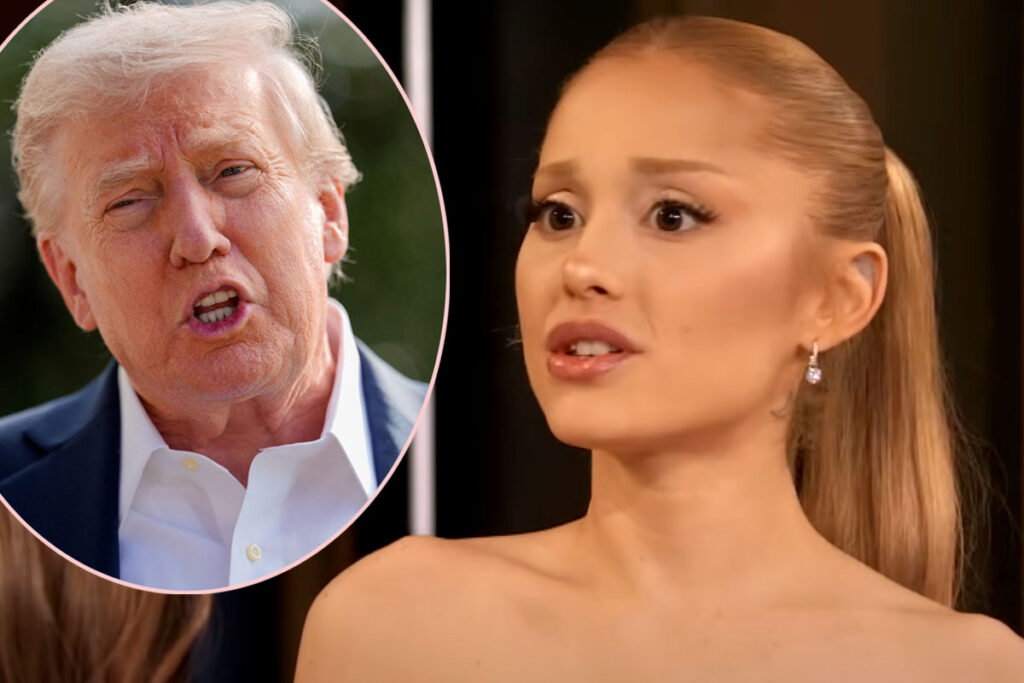 Ariana Grande Shares Scathing Message To Trump Voters -- LOOK!