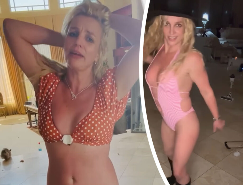 Britney Spears Hits Back At Mental Health Concerns While Living In Mansion Covered In Dog Poop!