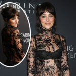 Dakota Johnson Bares ALMOST Everything On The Red Carpet... Wow!