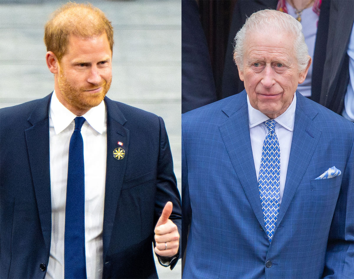Prince Harry Reveals How His Dad King Charles Is Doing After Their Reunion!