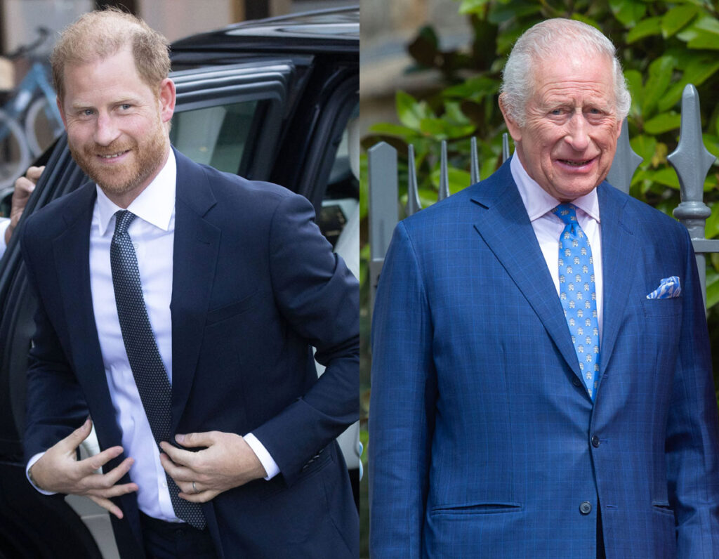 Prince Harry & King Charles Have Reunited -- All The Details!