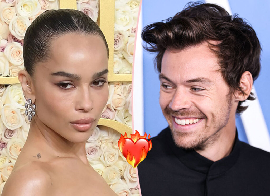 Harry Styles & Zoë Kravitz Heating Up! They Jetted Out Of NYC Airport Hand-In-Hand! LOOK!