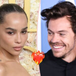 Harry Styles & Zoë Kravitz Heating Up! They Jetted Out Of NYC Airport Hand-In-Hand! LOOK!