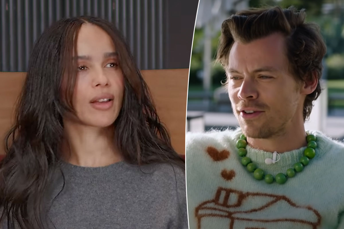 Harry Styles & Zoë Kravitz's Friends Think They Could Become 'More Than Just' Friends With Benefits