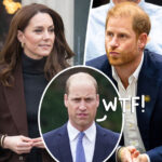 Princess Catherine Plots Betrayal Of William -- Going Behind His Back To Meet With Harry: REPORT
