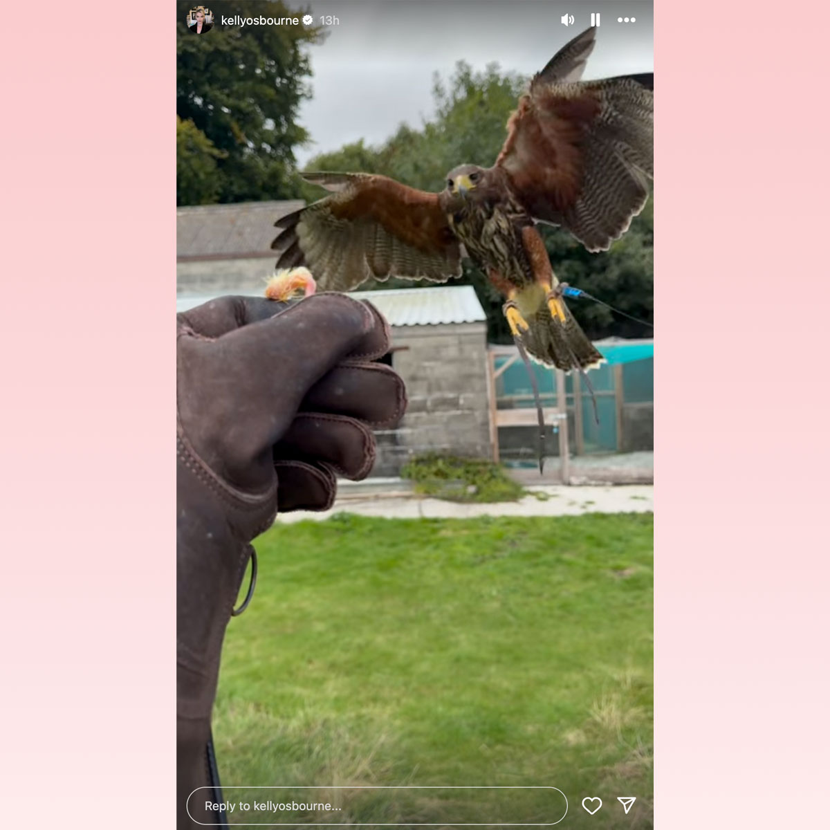 Kelly Osbourne takes up falconry