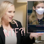 John McCain's Daughter Slams 'Nepo Babies' After Violet Affleck Speaks At UN