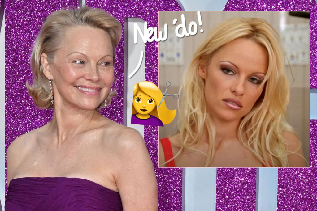 Pamela Anderson Has DITCHED Her Iconic Blonde Hair!
