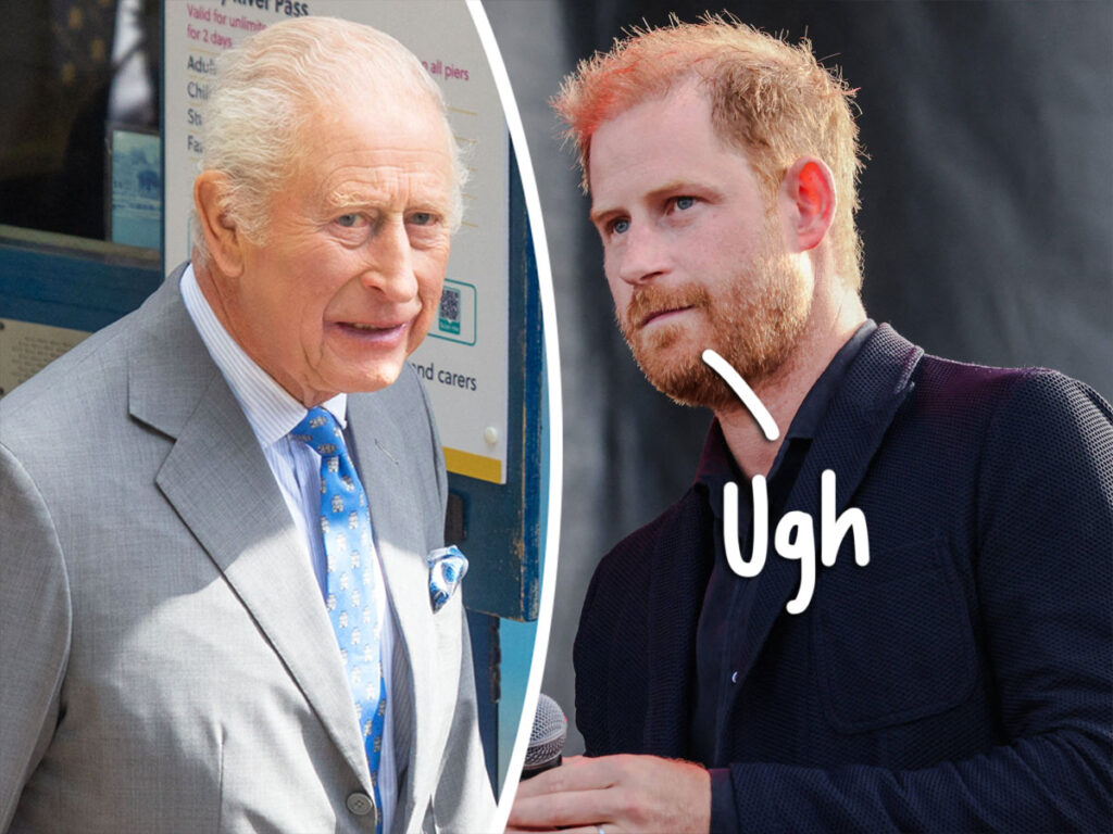 Prince Harry Served Massive Blow By King Charles After Reunion!