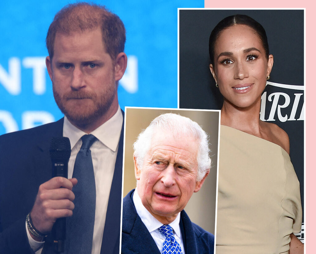 Prince Harry & Meghan Markle Investigating Staff Over King Charles Peace Talk Leaks -- But Sources Say It's A 'Sham' Because Of THIS!