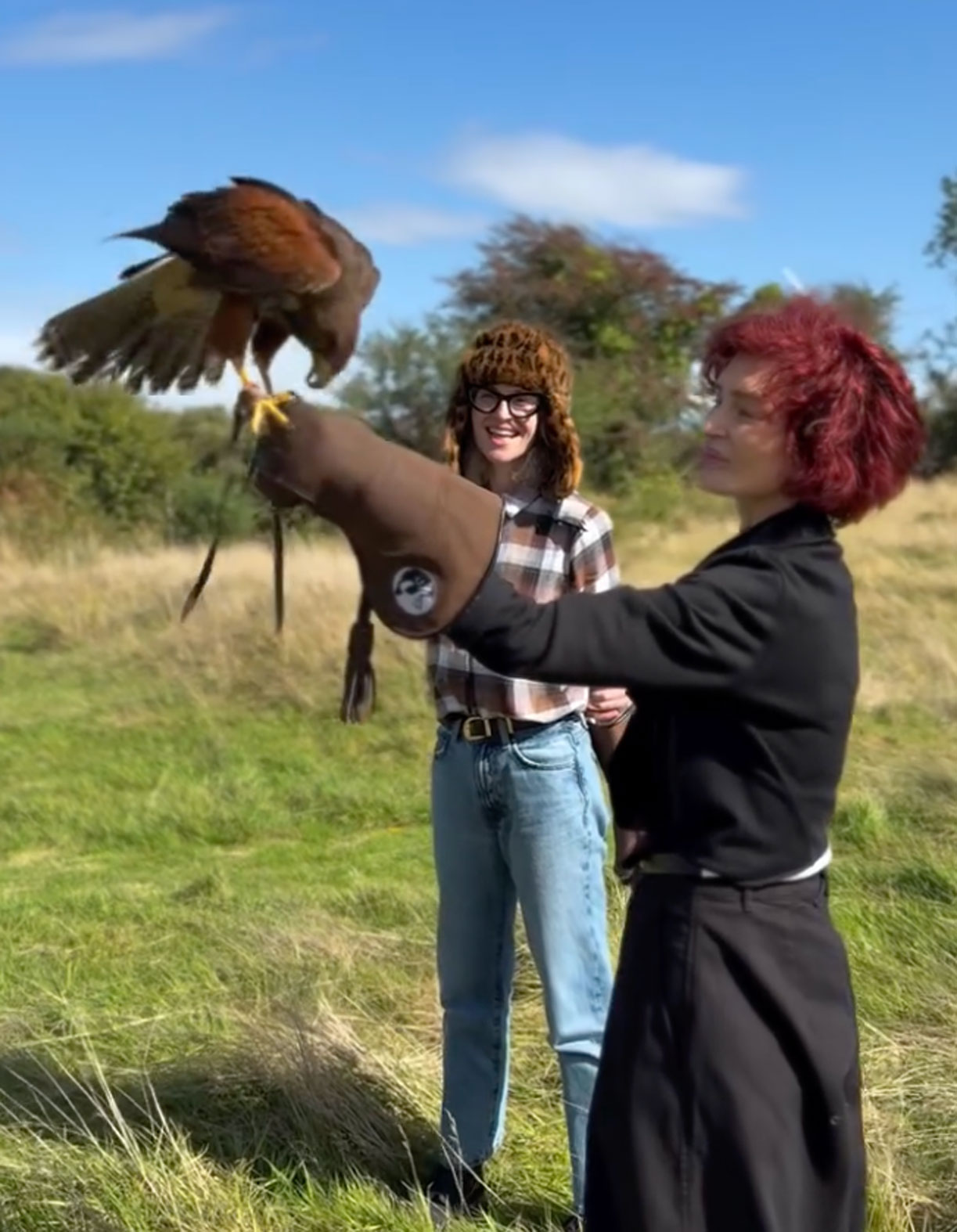 Sharon Osbourne falconry