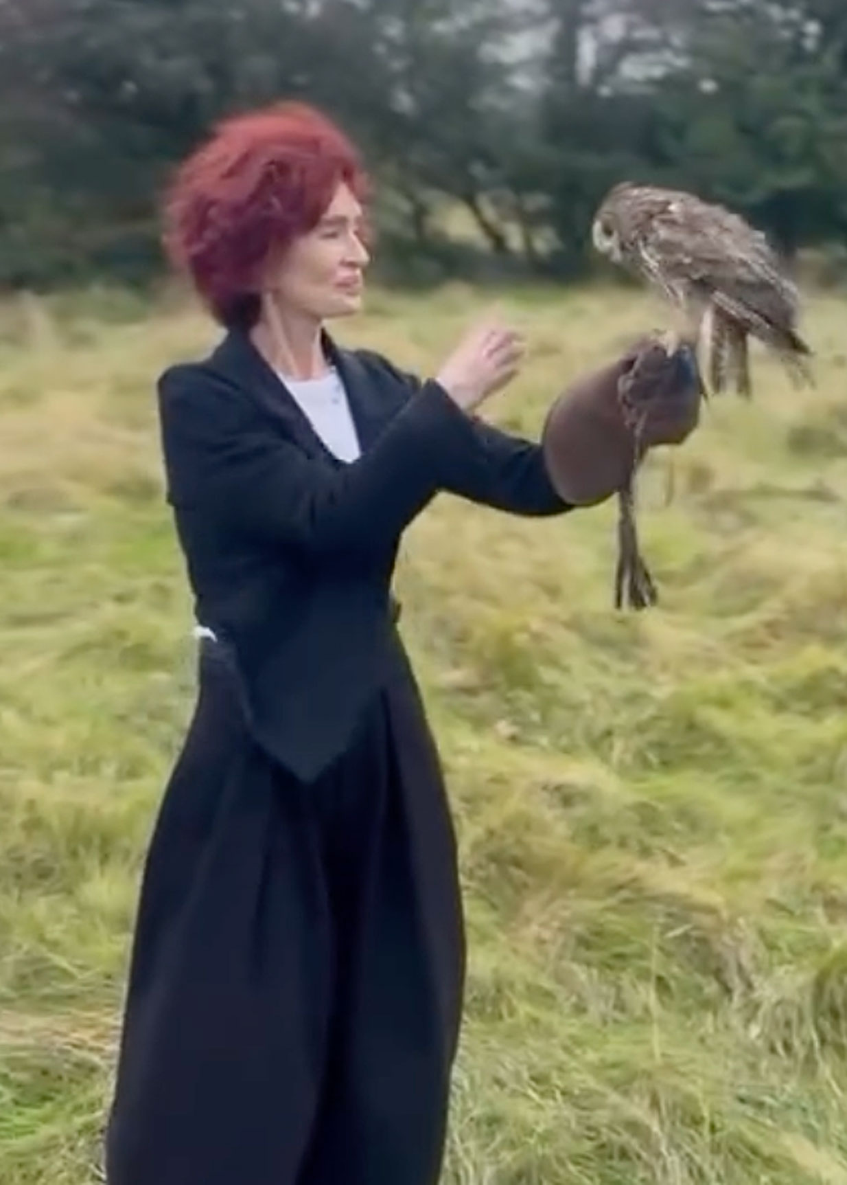 Sharon Osbourne falconry