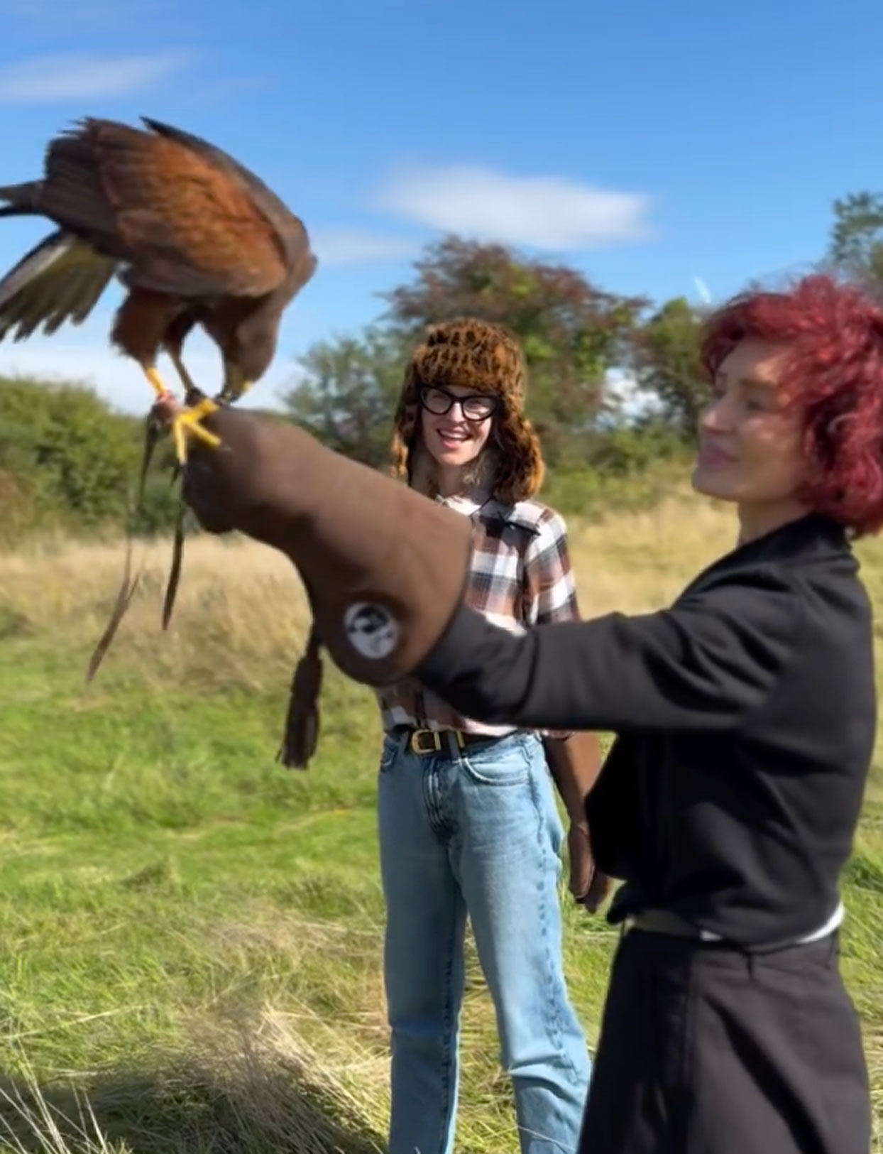 Sharon Osbourne falconry