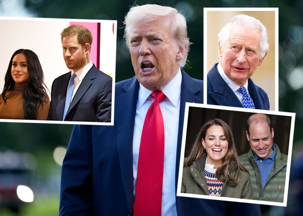 Did Donald Trump Take A Dig At Prince Harry During State Banquet With Prince William & King Charles??